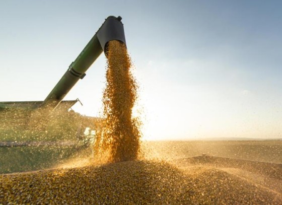 Bulgaristan da Ukraynadan tahıl ithalatını yasakladı