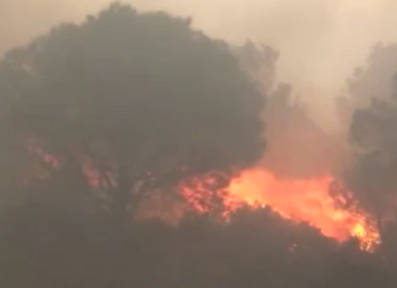 İspanya-Fransa sınırında orman yangını: 300 kişi tahliye edildi